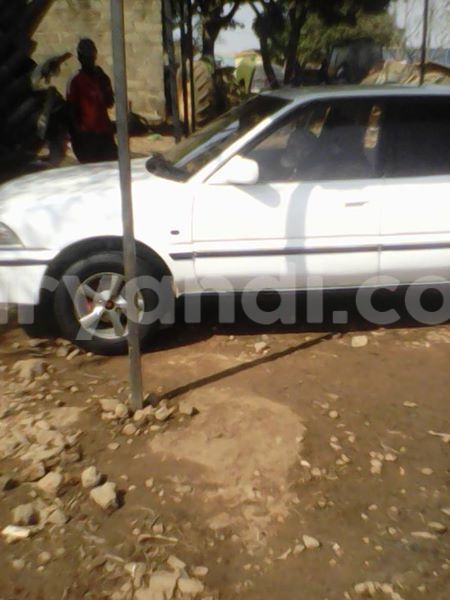 Big with watermark 14344831 10210707138657840 8287266099148065103 n