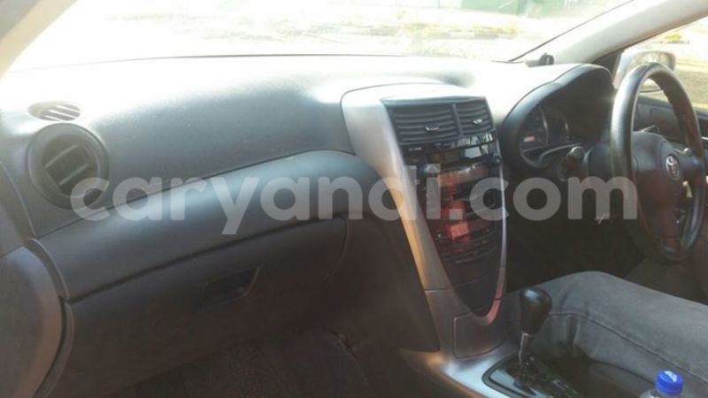 Big with watermark 14368725 10210707138497836 6301935212738049887 n