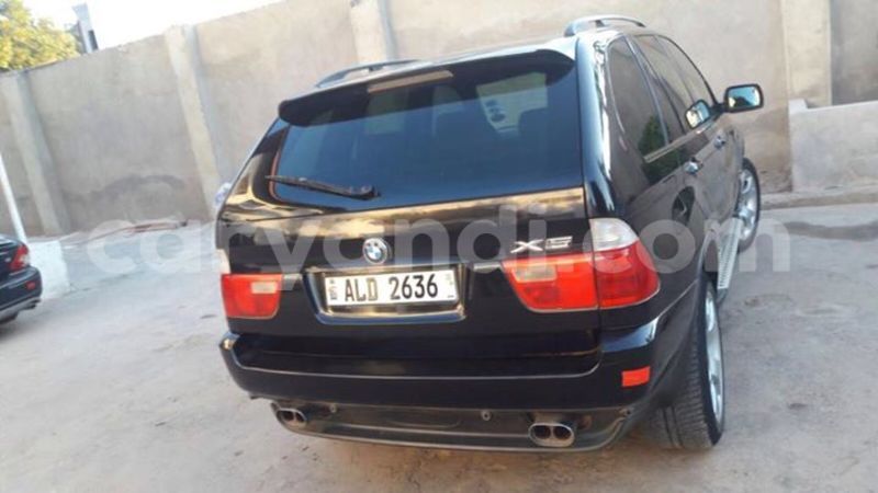 Big with watermark 14344831 10210707138657840 8287266099148065103 n