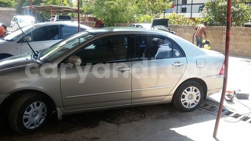 Big with watermark 14344831 10210707138657840 8287266099148065103 n