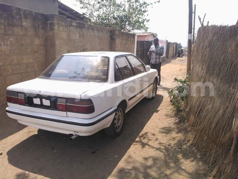 Big with watermark 14344831 10210707138657840 8287266099148065103 n