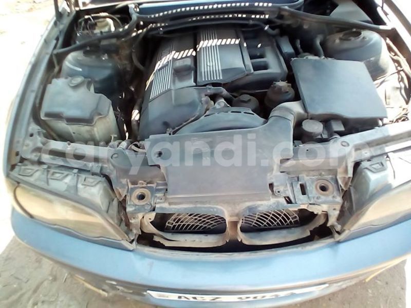 Big with watermark 14316981 10210707138857845 8349215952595816907 n