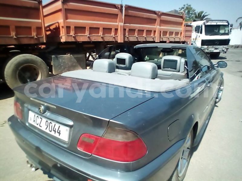 Big with watermark 14344831 10210707138657840 8287266099148065103 n