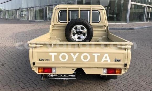 Tenga Tsaru Toyota Land Cruiser Zvimwe Mota in Livingstone in Zambia Tenga Tsaru Toyota Land Cruiser Zvimwe Mota in Livingstone in Zambia