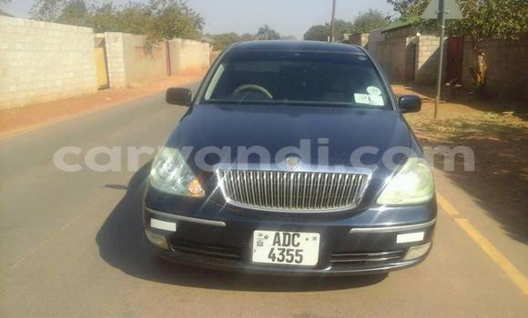 Tenga Tsaru Toyota bB Nhema Mota in Chipata in Zambia Tenga Tsaru Toyota bB Nhema Mota in Chipata in Zambia