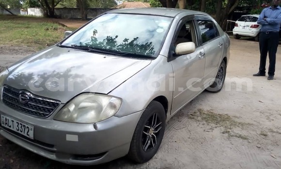 Nunua Ilio tumika Toyota Corolla Fedha Gari ndani ya Lusaka nchini Zambia Nunua Ilio tumika Toyota Corolla Fedha Gari ndani ya Lusaka nchini Zambia