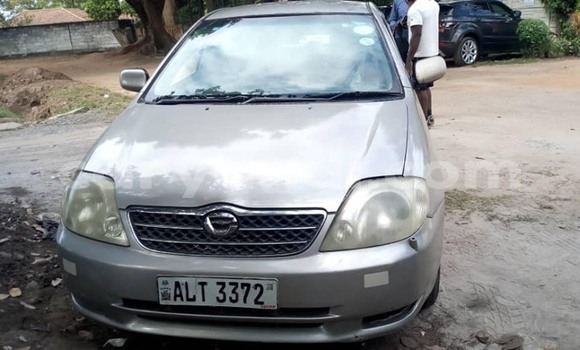 Nunua Ilio tumika Toyota Corolla Fedha Gari ndani ya Lusaka nchini Zambia Nunua Ilio tumika Toyota Corolla Fedha Gari ndani ya Lusaka nchini Zambia