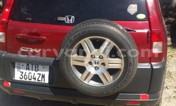 Nunua Ilio tumika Honda CR–V Nyekundu Gari ndani ya Lusaka nchini Zambia Nunua Ilio tumika Honda CR–V Nyekundu Gari ndani ya Lusaka nchini Zambia
