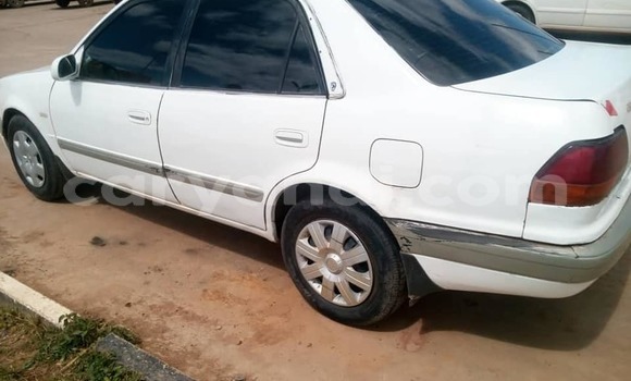 Nunua Ilio tumika Toyota Corolla Nyeupe Gari ndani ya Lusaka nchini Zambia Nunua Ilio tumika Toyota Corolla Nyeupe Gari ndani ya Lusaka nchini Zambia