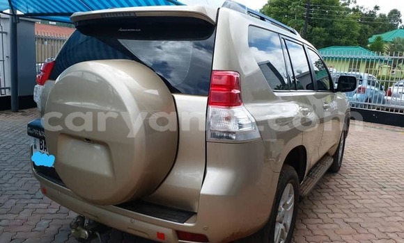 Nunua Ilio tumika Toyota Land Cruiser Prado Beige Gari ndani ya Lusaka nchini Zambia Nunua Ilio tumika Toyota Land Cruiser Prado Beige Gari ndani ya Lusaka nchini Zambia