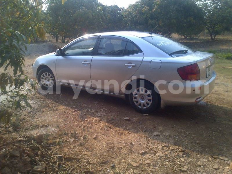 Big with watermark 14138662 1746685915580649 9078383618492148529 o