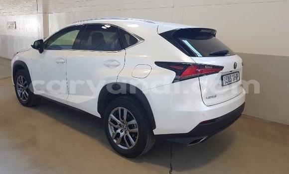 Nunua Ilio tumika Lexus NX Nyeupe Gari ndani ya Lusaka nchini Zambia Nunua Ilio tumika Lexus NX Nyeupe Gari ndani ya Lusaka nchini Zambia