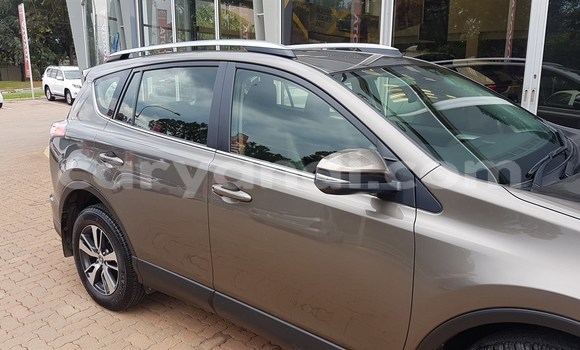 Tenga Tsaru Toyota RAV4 Zvimwe Mota in Livingstone in Zambia Tenga Tsaru Toyota RAV4 Zvimwe Mota in Livingstone in Zambia