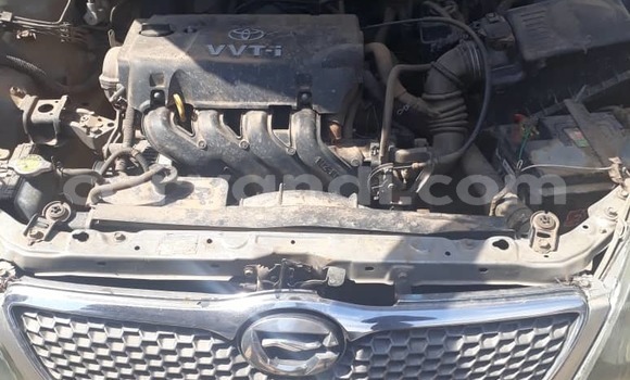 Buy Used Toyota Corolla Beige Car in Lusaka in Zambia Buy Used Toyota Corolla Beige Car in Lusaka in Zambia