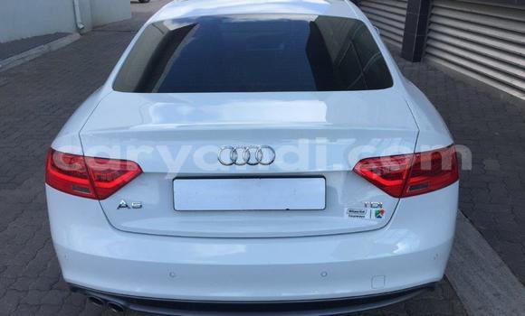 Tenga Tsaru Audi A5 Chena Mota in Livingstone in Zambia Tenga Tsaru Audi A5 Chena Mota in Livingstone in Zambia