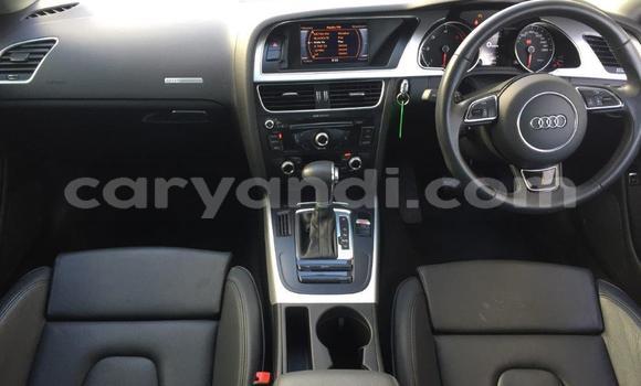 Tenga Tsaru Audi A5 Chena Mota in Livingstone in Zambia Tenga Tsaru Audi A5 Chena Mota in Livingstone in Zambia