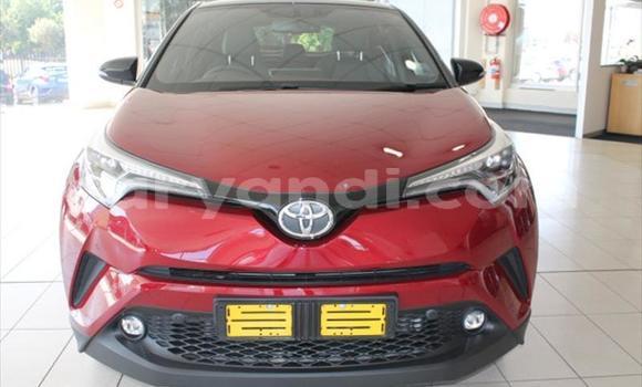 Buy Used Toyota C-HR Red Car in Lusaka in Zambia Buy Used Toyota C-HR Red Car in Lusaka in Zambia