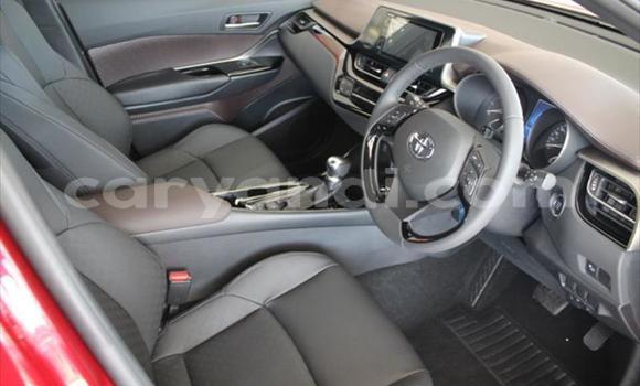 Buy Used Toyota C-HR Red Car in Lusaka in Zambia Buy Used Toyota C-HR Red Car in Lusaka in Zambia