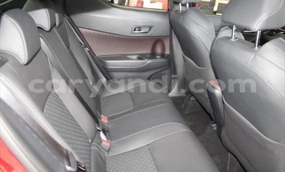 Buy Used Toyota C-HR Red Car in Lusaka in Zambia Buy Used Toyota C-HR Red Car in Lusaka in Zambia