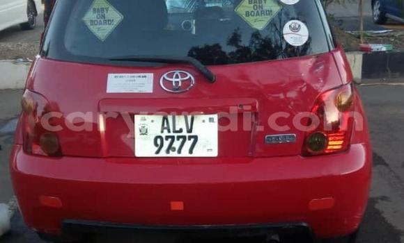 Buy Used Toyota IST Red Car in Lusaka in Zambia Buy Used Toyota IST Red Car in Lusaka in Zambia