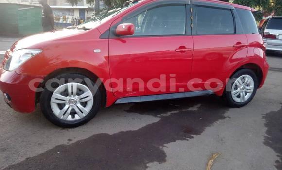 Buy Used Toyota IST Red Car in Lusaka in Zambia Buy Used Toyota IST Red Car in Lusaka in Zambia