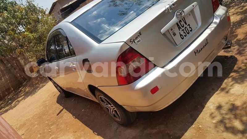 Big with watermark 14322611 965552490222599 6538714368794516621 n