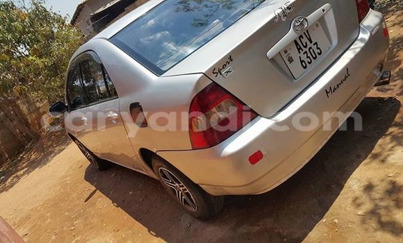 Tenga Tsaru Toyota Corolla Nhema Mota in Chipata in Zambia Tenga Tsaru Toyota Corolla Nhema Mota in Chipata in Zambia