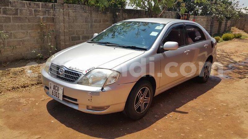 Big with watermark 14361282 1124790234235133 2594489126237502130 o