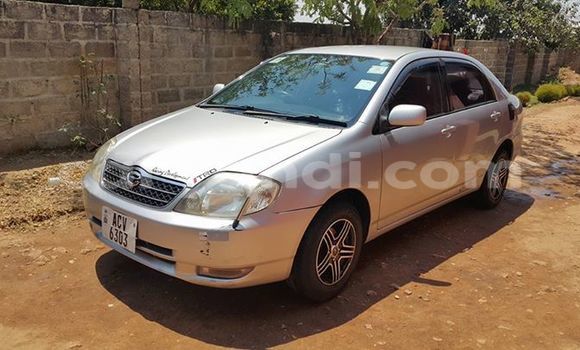 Tenga Tsaru Toyota Corolla Nhema Mota in Chipata in Zambia Tenga Tsaru Toyota Corolla Nhema Mota in Chipata in Zambia