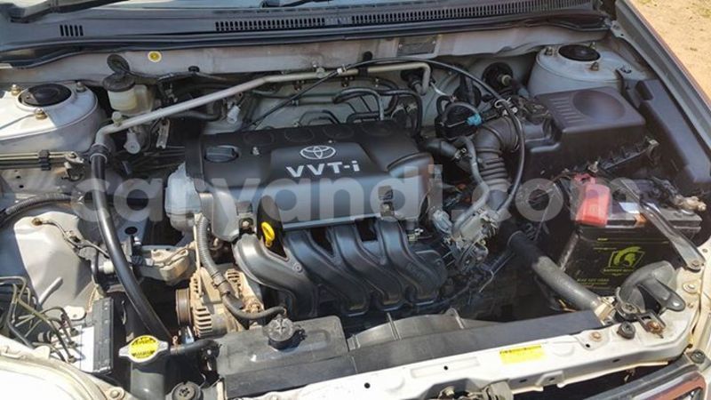 Big with watermark 14425547 1124790207568469 6518887933210591088 o