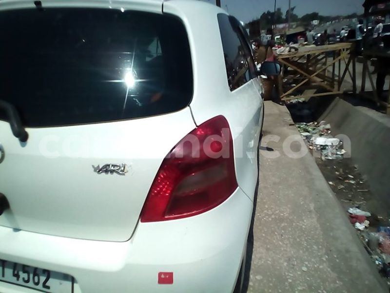 Big with watermark 14361282 1124790234235133 2594489126237502130 o