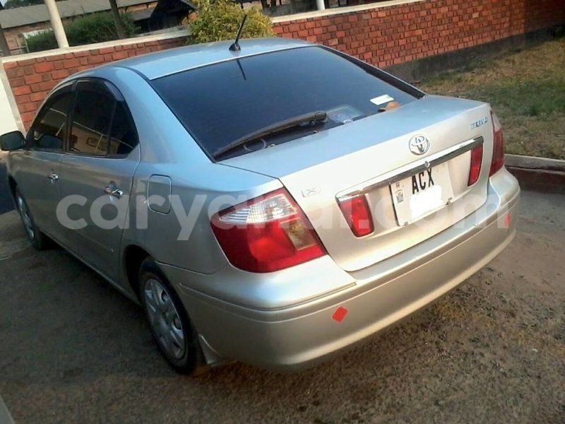 Big with watermark 14322611 965552490222599 6538714368794516621 n