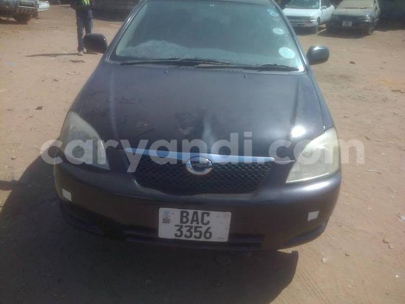 Big with watermark 14322611 965552490222599 6538714368794516621 n