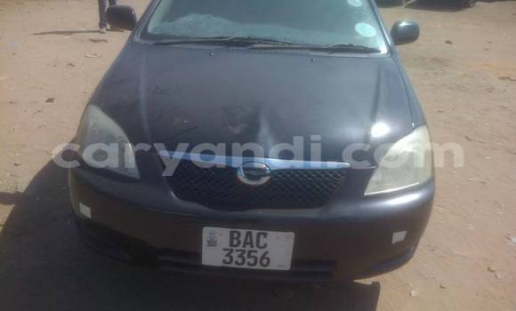 Tenga Tsaru Toyota Runx Nhema Mota in Chipata in Zambia Tenga Tsaru Toyota Runx Nhema Mota in Chipata in Zambia