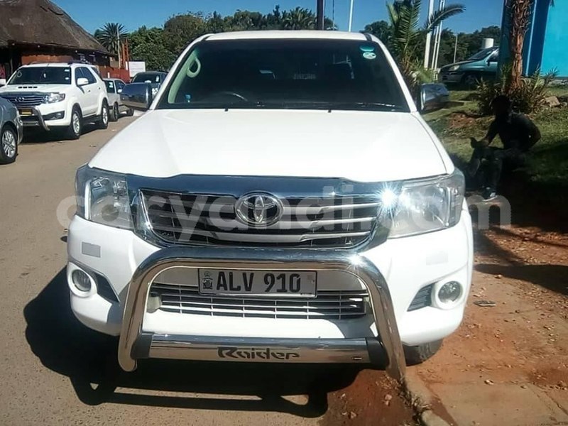 Big with watermark 61414543 2372237072864774 7513466473084354560 n