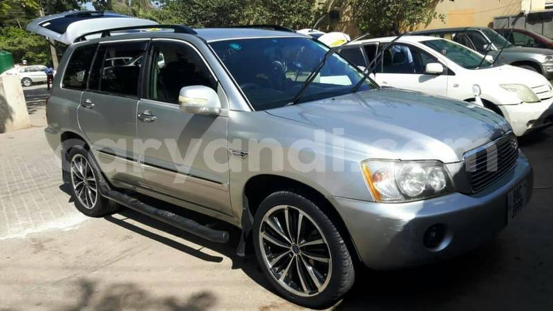 Big with watermark 61393745 2369025129852635 1118843799561306112 o