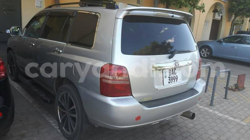 Big with watermark 61301069 2369024993185982 6531518189078052864 o