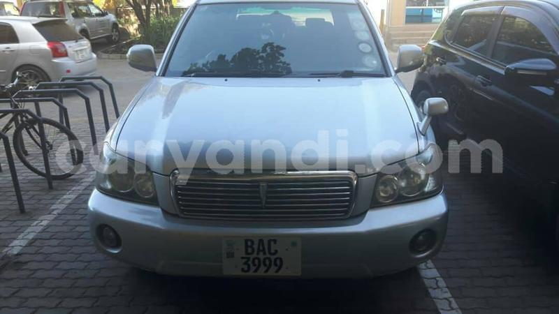 Big with watermark 61244623 2369025083185973 5656322970776240128 o