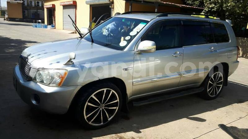 Big with watermark 60897570 2369025026519312 3389698755346300928 o