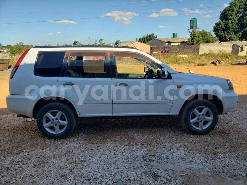 Big with watermark 60720617 2357634297658385 1133856505557155840 n