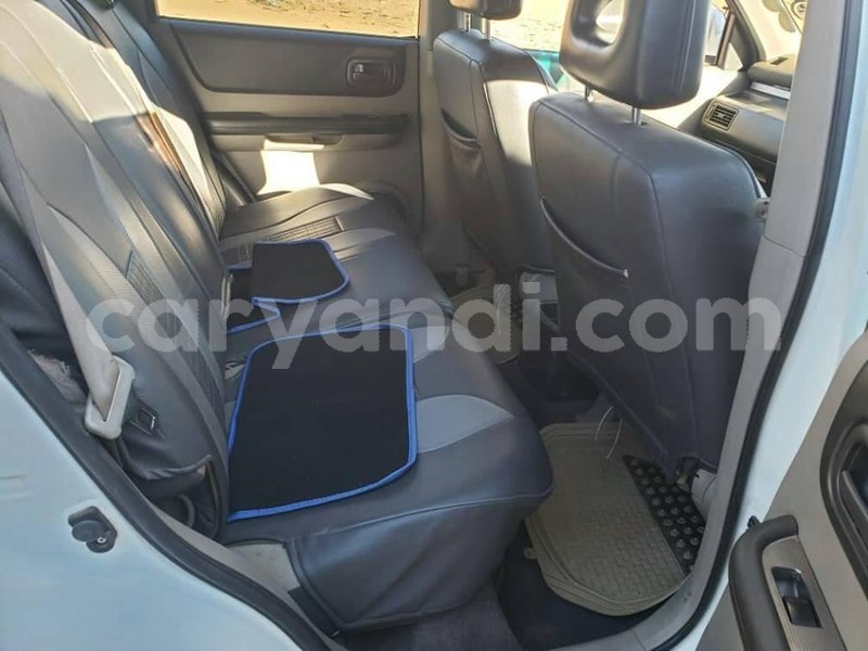 Big with watermark 60743415 2357634150991733 1288772612964483072 n