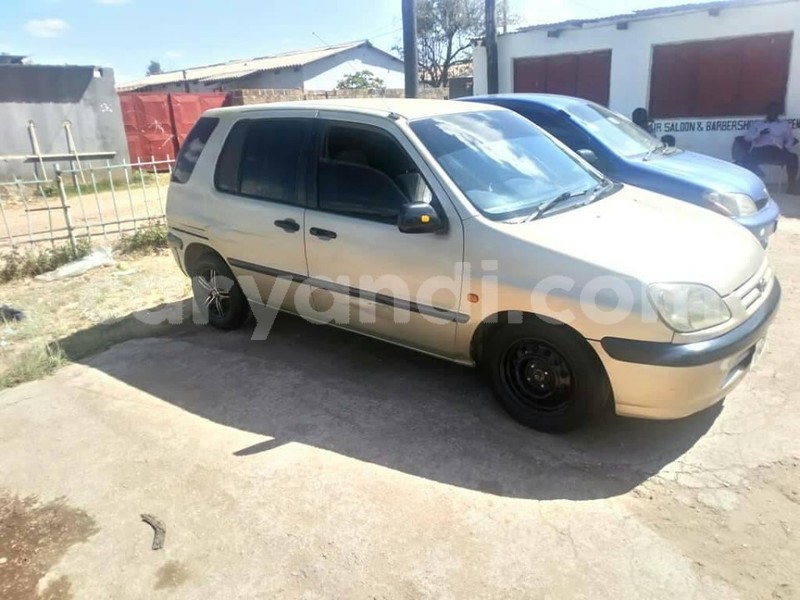 Big with watermark 60496202 2349691368452678 3536763842925166592 n