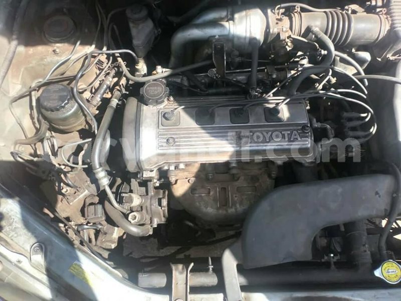 Big with watermark 60069236 2349691335119348 4581982131982434304 n