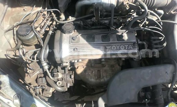 Buy Used Toyota Raum Beige Car in Lusaka in Zambia Buy Used Toyota Raum Beige Car in Lusaka in Zambia