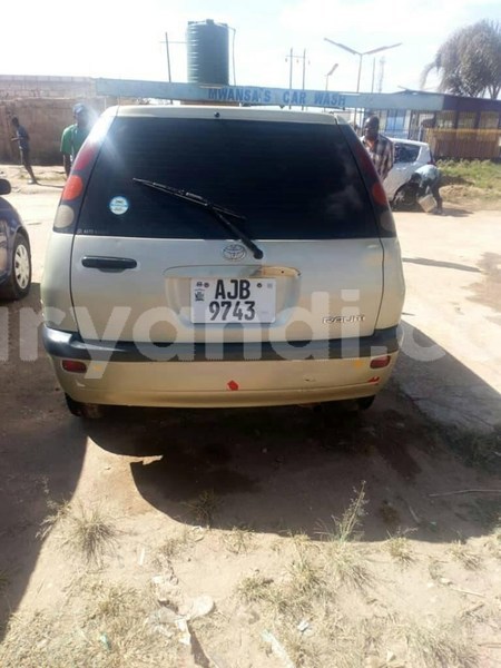 Big with watermark 60409853 2349691361786012 8591694055417577472 n