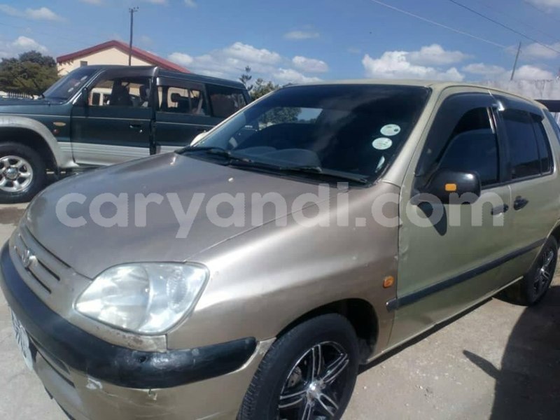 Big with watermark 60220668 2349691311786017 6347992634497171456 n