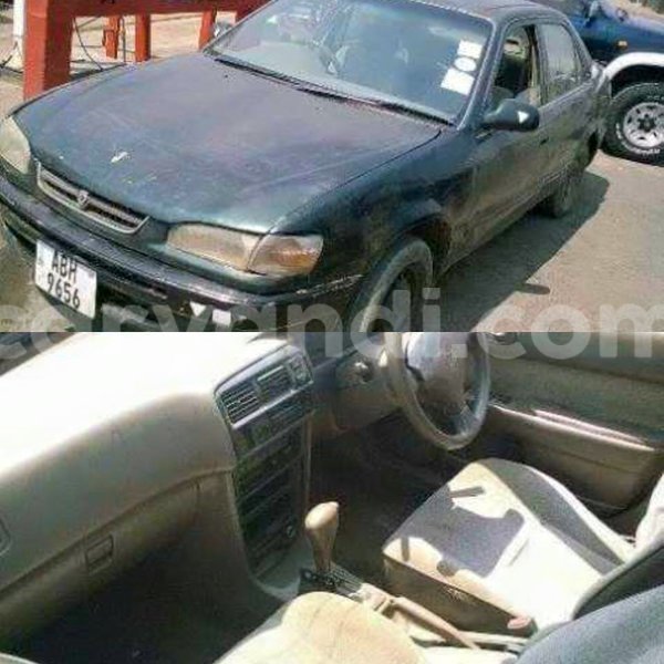 Big with watermark 14322611 965552490222599 6538714368794516621 n