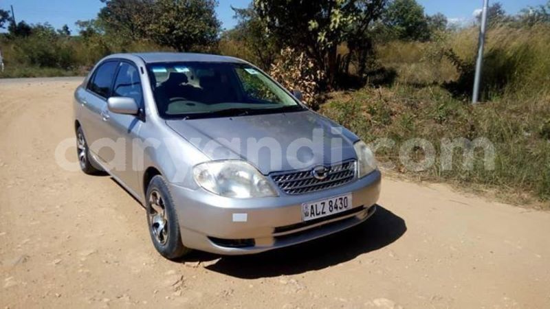 Big with watermark 60963234 2172117849569800 8210685977581060096 n