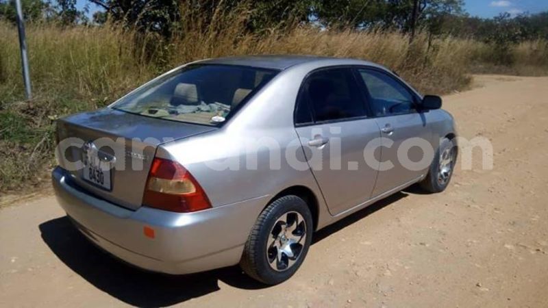 Big with watermark 60701105 2172117866236465 3731301801027174400 n