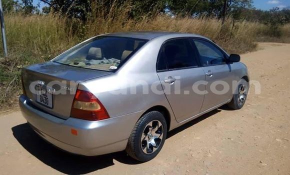 Buy Used Toyota Corolla Silver Car in Lusaka in Zambia Buy Used Toyota Corolla Silver Car in Lusaka in Zambia
